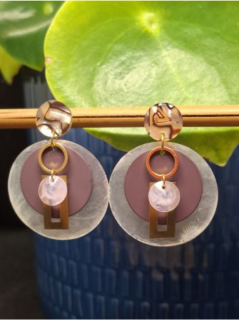Puces zébrées, coquillage et prune