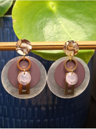 Puces zébrées, coquillage et prune